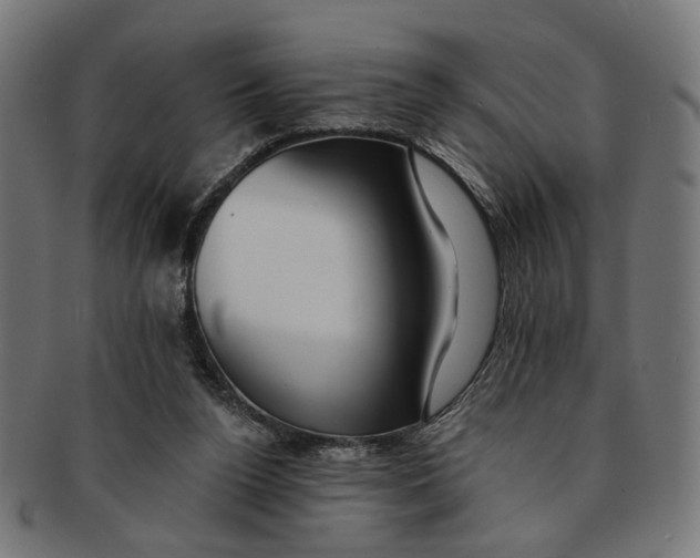 X0000091190160200709061021