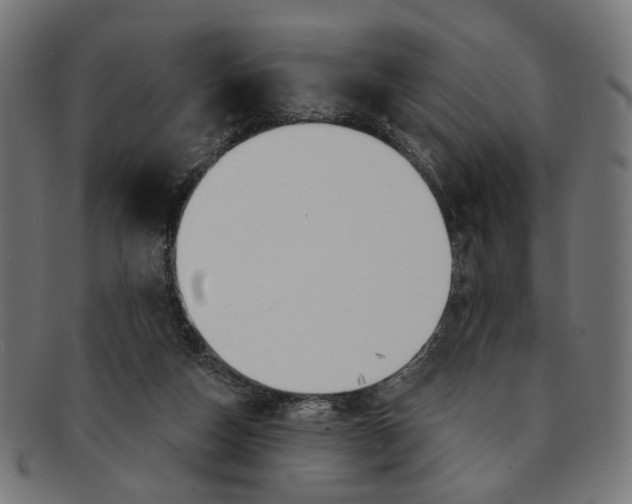 X0000091190162200709061021