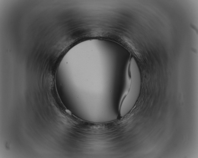 X0000091190164200709061021