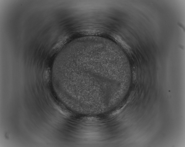 X0000091190165200709061021