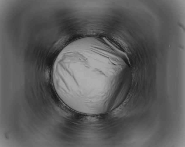 X0000091190166200709061021