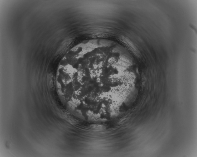 X0000091190169200709061021