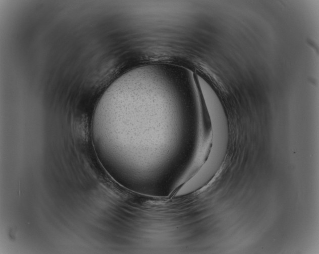 X0000091190170200709061021