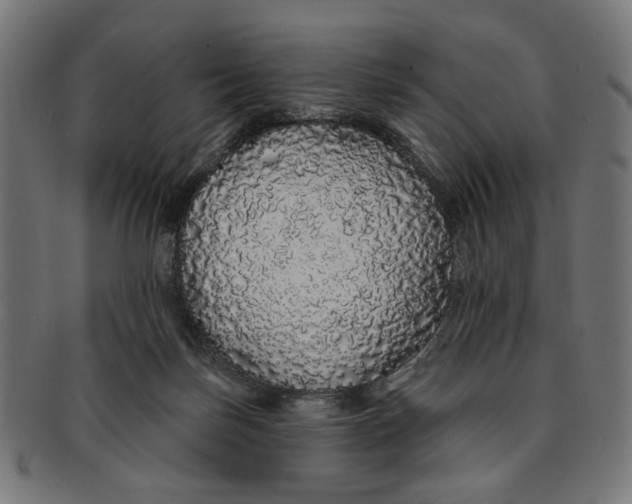 X0000091190171200709061021