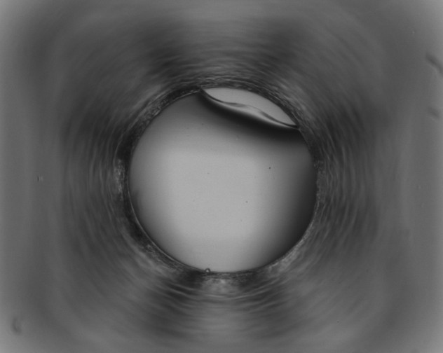 X0000091190174200709061021