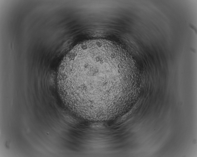 X0000091190175200709061021