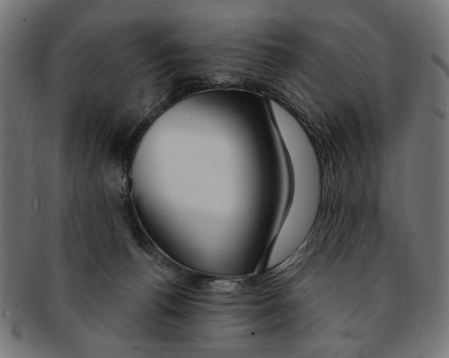 X0000091190176200709061021