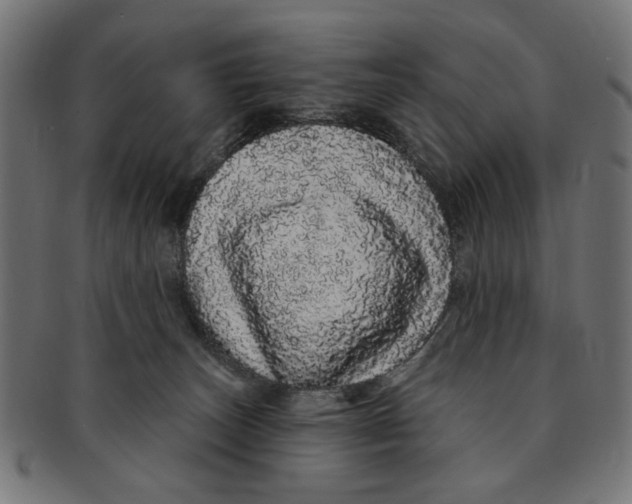 X0000091190179200709061021