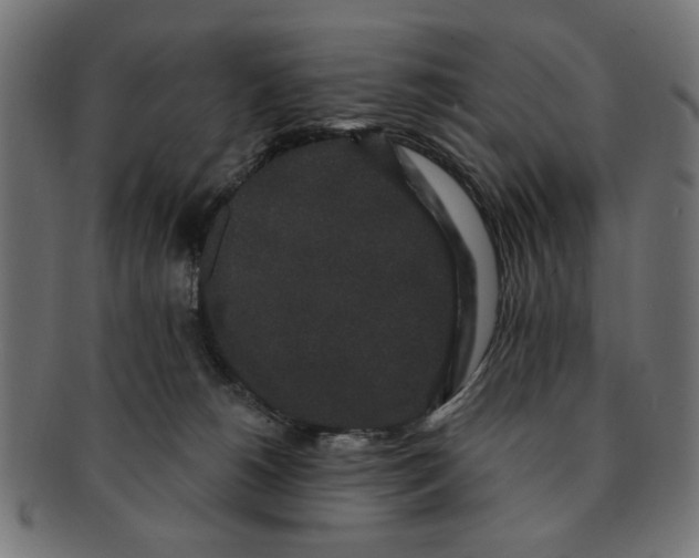 X0000091190180200709061021