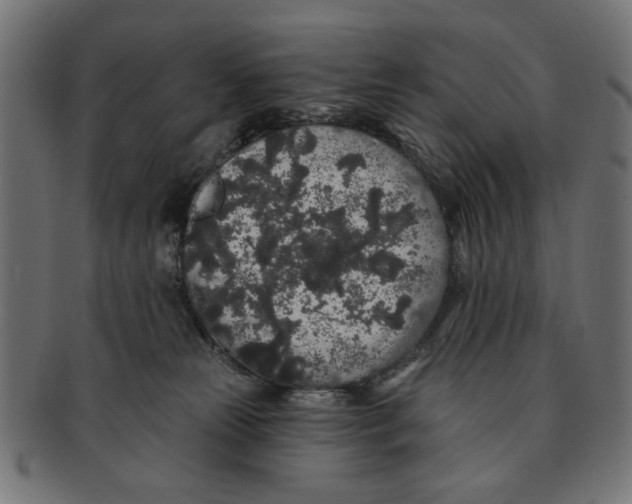 X0000091190181200709061021