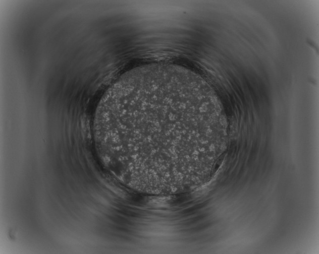 X0000091190182200709061021