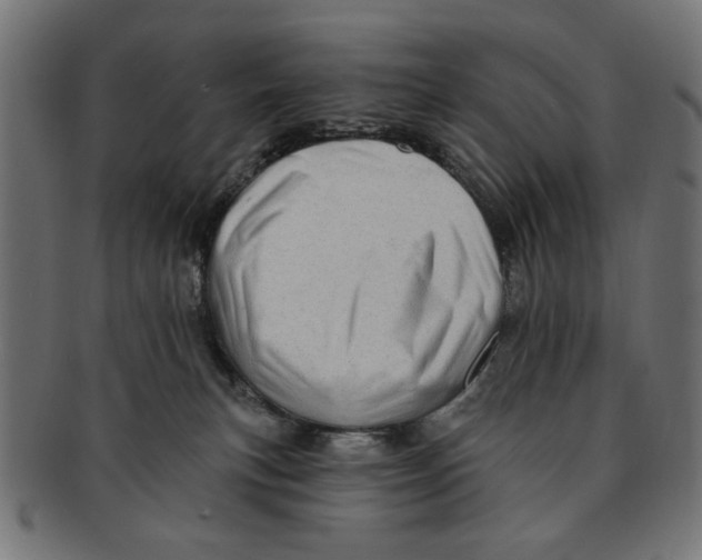 X0000091190183200709061021