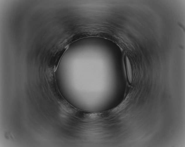 X0000091190184200709061021