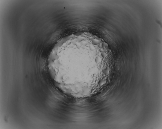 X0000091190185200709061021