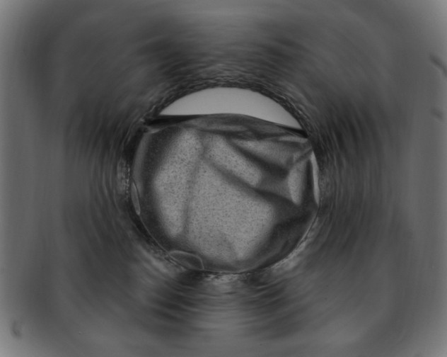 X0000091190186200709061021