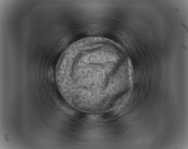 X0000091190187200709061021