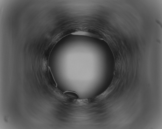 X0000091190188200709061021