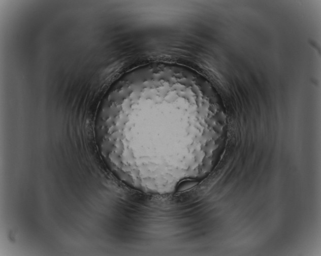 X0000091190189200709061021