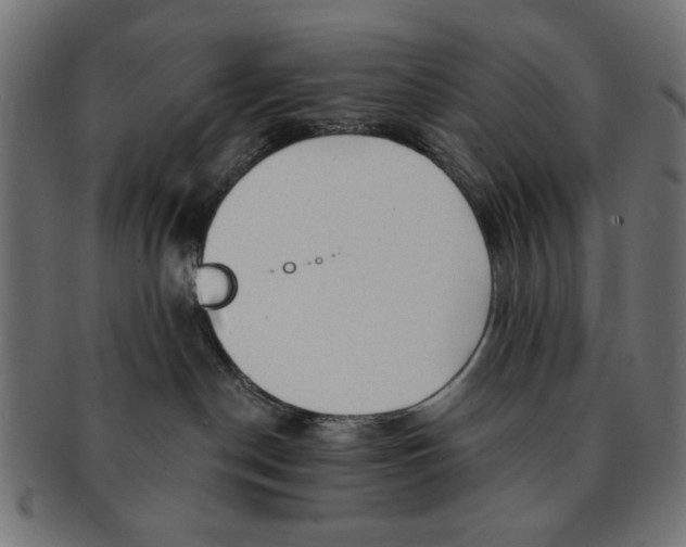 X0000091190190200709061021