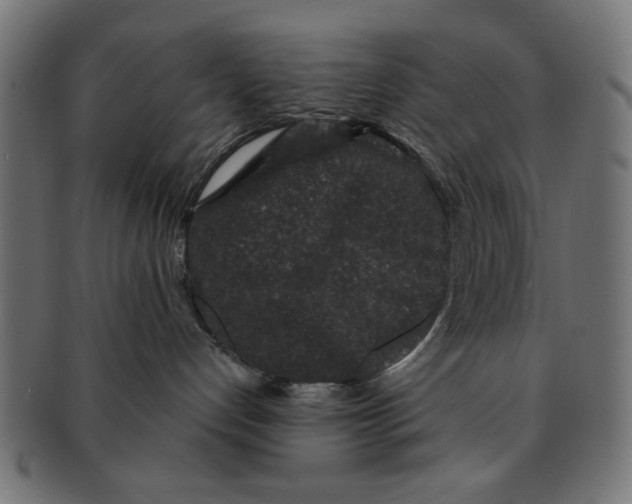 X0000091190192200709061021