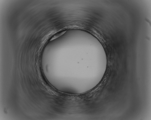 X0000091190193200709061020