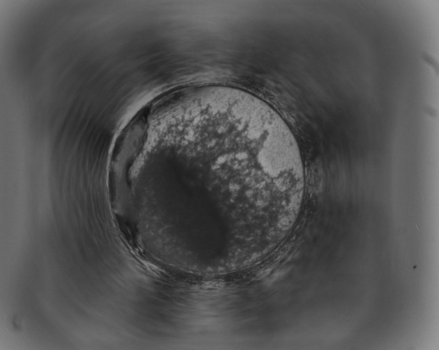 X0000091190196200709061020