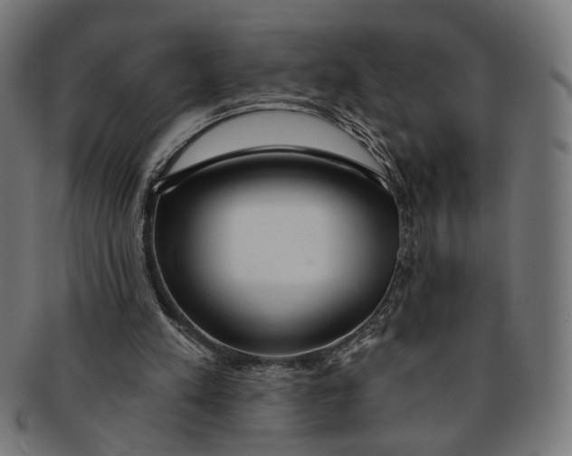 X0000091190197200709061020