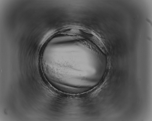 X0000091190199200709061020