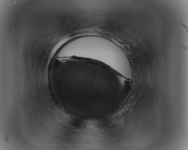 X0000091190200200709061020