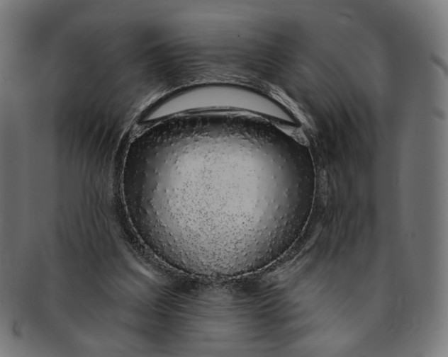 X0000091190203200709061020