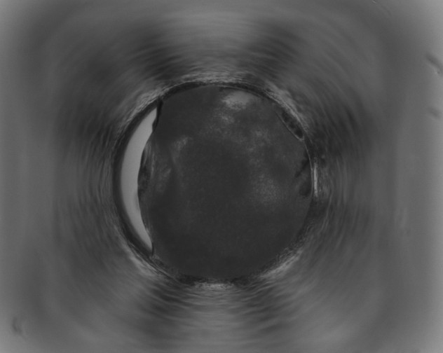 X0000091190205200709061020