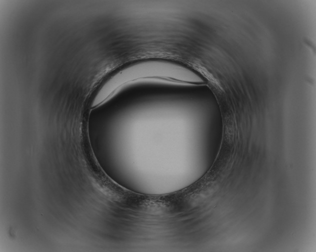 X0000091190207200709061020