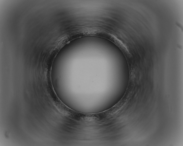 X0000091190209200709061020