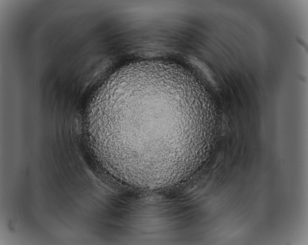 X0000091190210200709061020