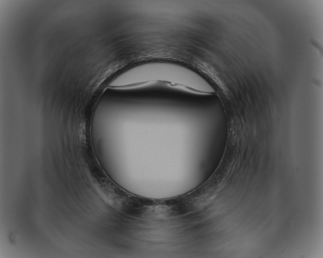 X0000091190212200709061020