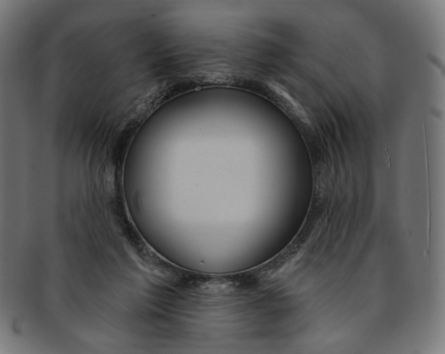 X0000091190213200709061020