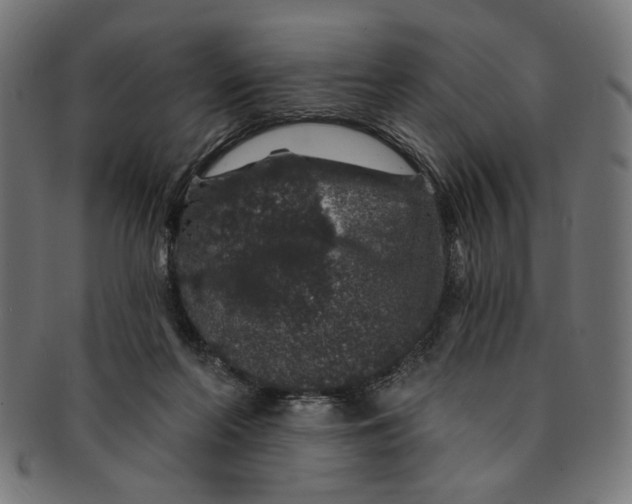 X0000091190214200709061020