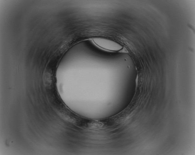 X0000091190215200709061020