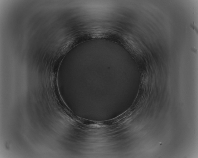 X0000091190219200709061020