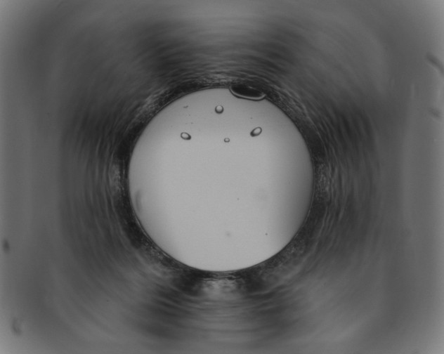 X0000091190220200709061020