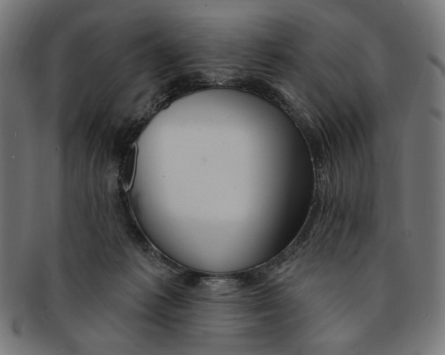 X0000091190221200709061020