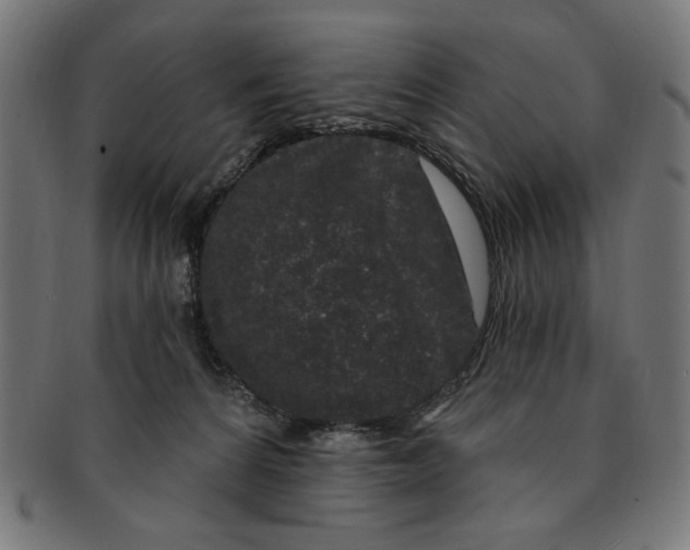 X0000091190224200709061020