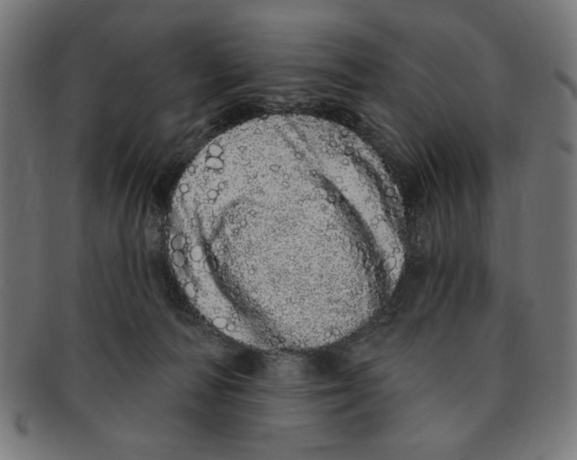 X0000091190226200709061020