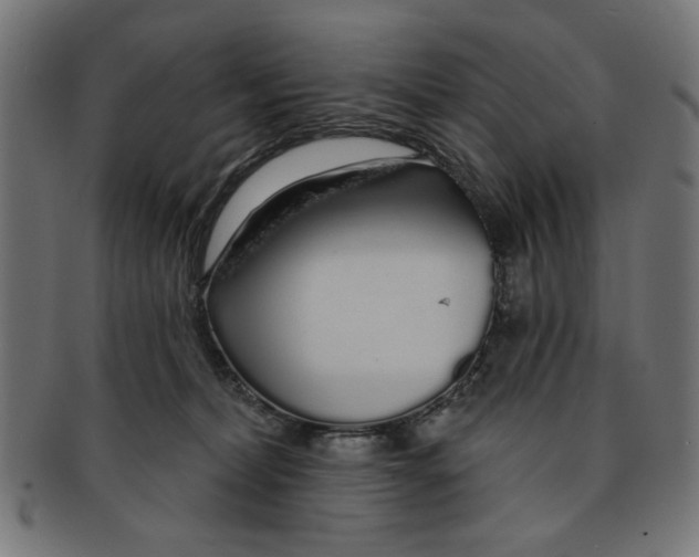 X0000091190228200709061020