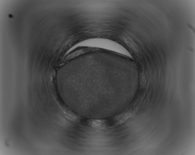 X0000091190229200709061020