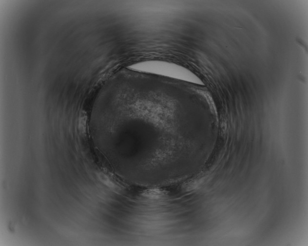 X0000091190231200709061020