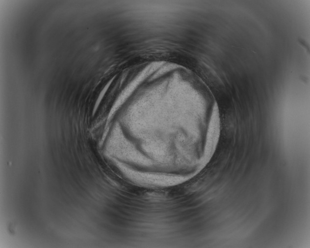 X0000091190232200709061020