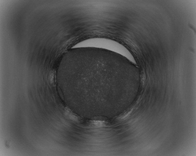 X0000091190233200709061020