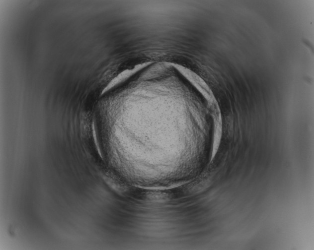 X0000091190234200709061020