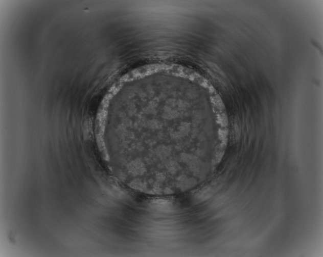 X0000091190236200709061020